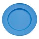 Dinner Plate