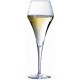 Chef and Sommelier Champagne Glasses