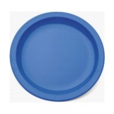 Antibacterial Large Narrow Rimmed Plate