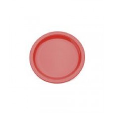 Antibacterial Small Narrow Rimmed Plate