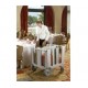 Dish Caddies Dish Caddies