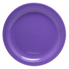 Copolyester Large Narrow Rimmed Plate