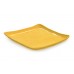 Square Plate